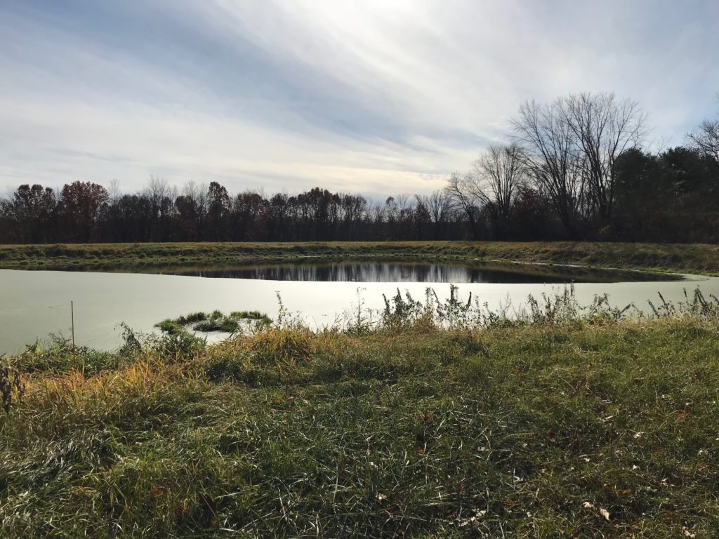 Sewage Lagoon